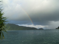 rainbows,