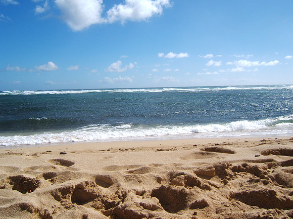 hawaii. yeeeeee!