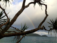 rainbows everywhere